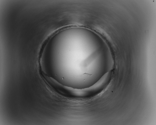 X0000090481168200707131311