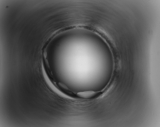 X0000090481169200707131311