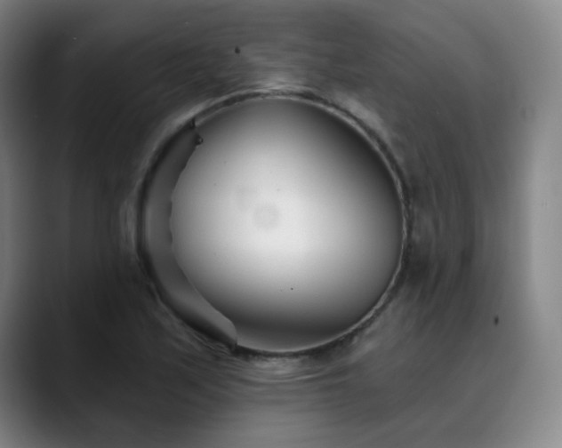 X0000090481171200707131311