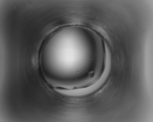 X0000090481172200707131311