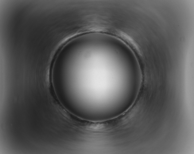 X0000090481174200707131311
