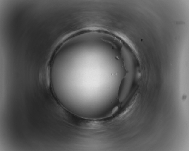 X0000090481175200707131311