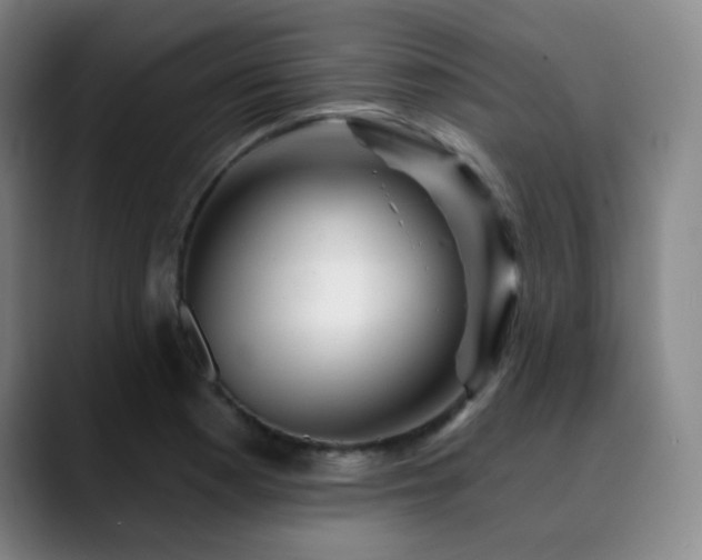 X0000090481177200707131310