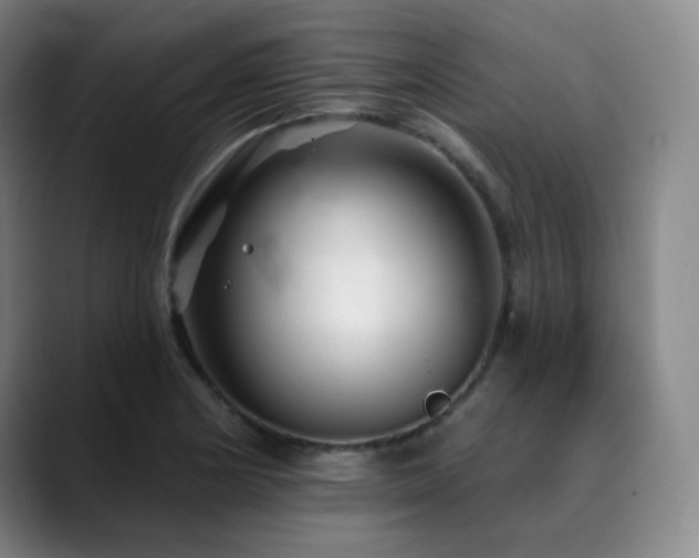 X0000090481178200707131310