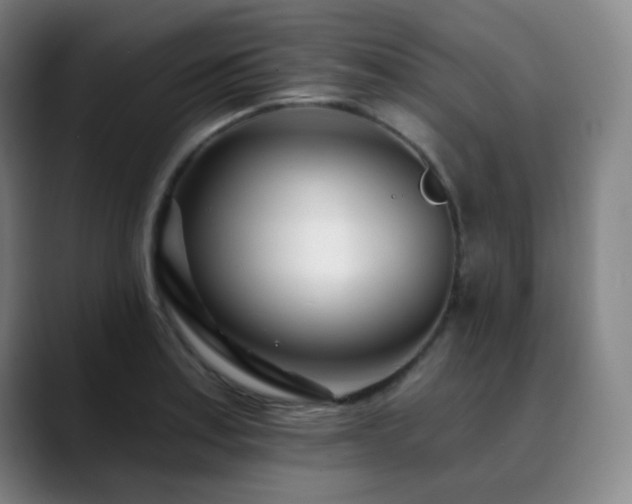 X0000090481179200707131310