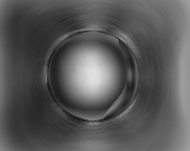 X0000090481180200707131310