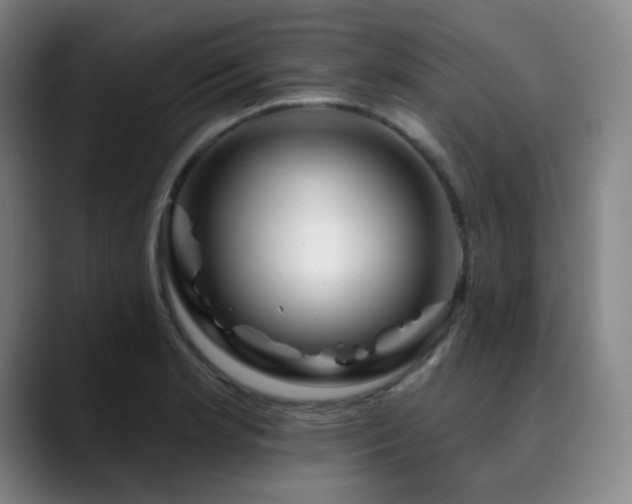 X0000090481181200707131310