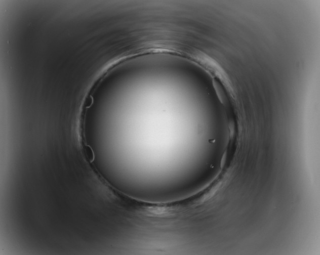 X0000090481182200707131310