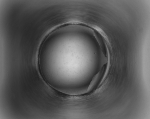 X0000090481183200707131310