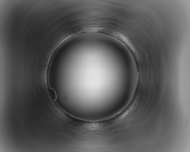 X0000090481186200707131310