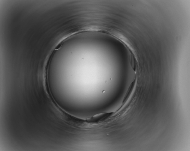 X0000090481187200707131310