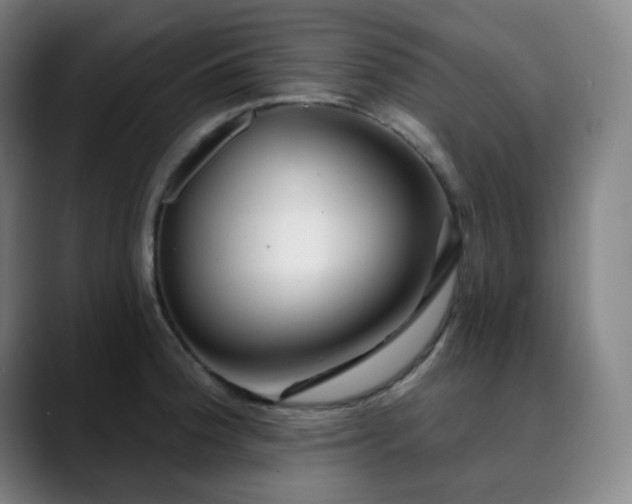 X0000090481188200707131310