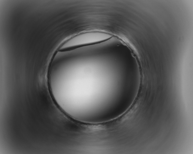 X0000090481189200707131310