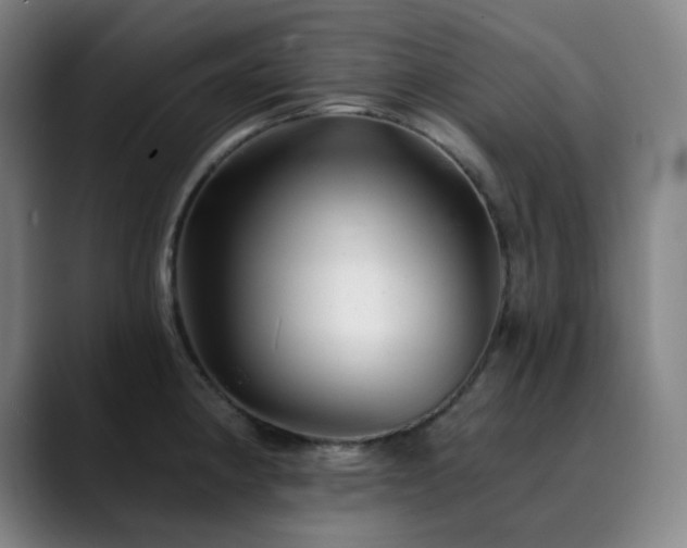 X0000090481190200707131310