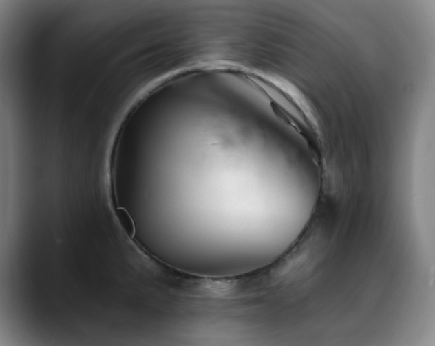 X0000090481191200707131310