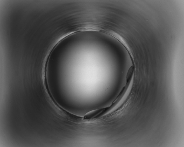 X0000090481195200707131310