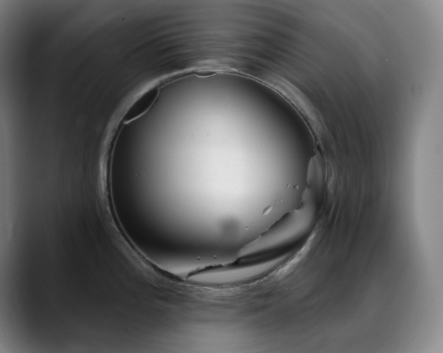 X0000090481196200707131310