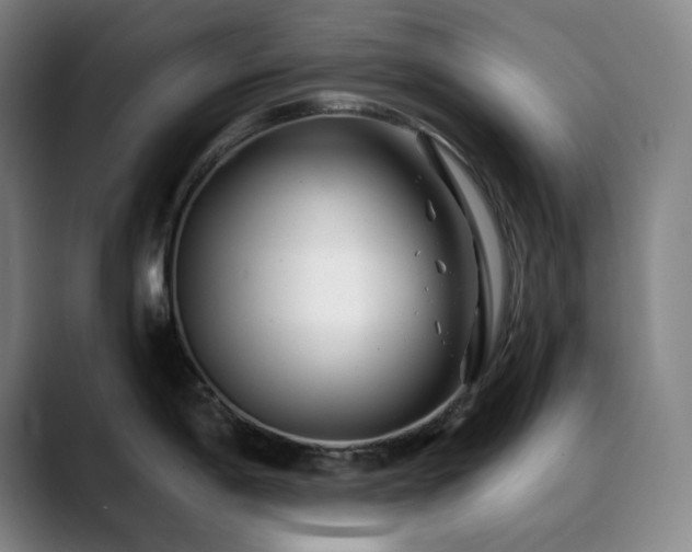X0000090481198200707131310