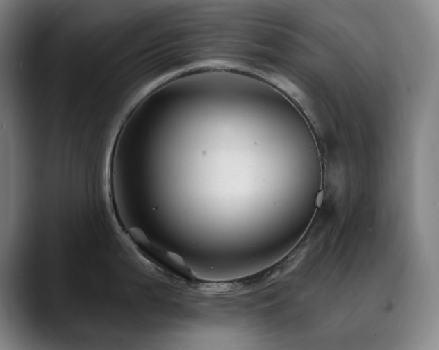 X0000090481199200707131310