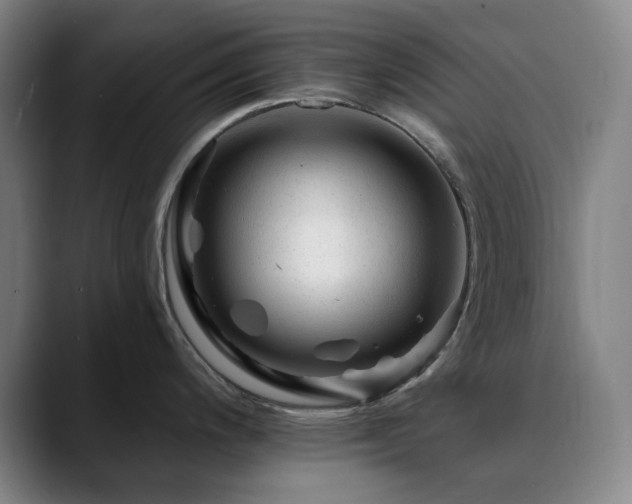 X0000090481200200707131310