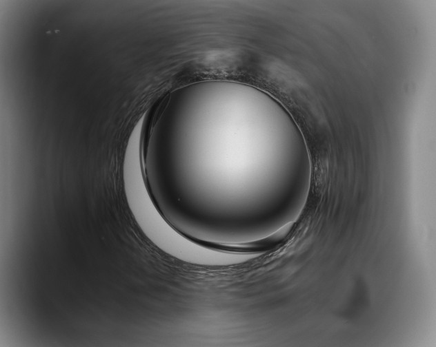 X0000090481202200707131310