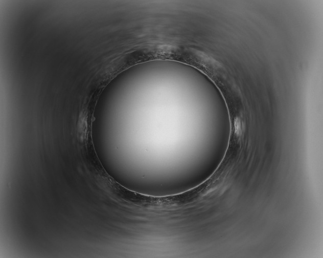 X0000090481203200707131310