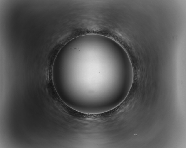 X0000090481205200707131310