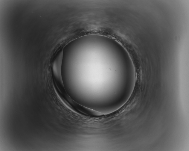 X0000090481206200707131310