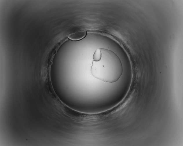 X0000090481211200707131310