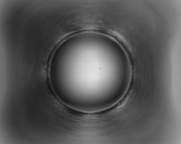 X0000090481212200707131310