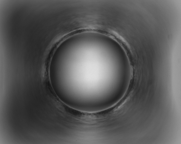 X0000090481215200707131310