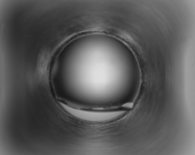 X0000090481216200707131310