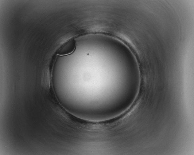 X0000090481219200707131310