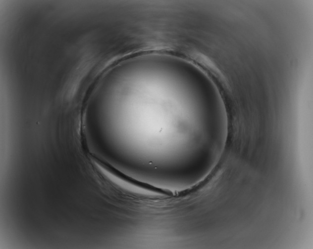 X0000090481220200707131310