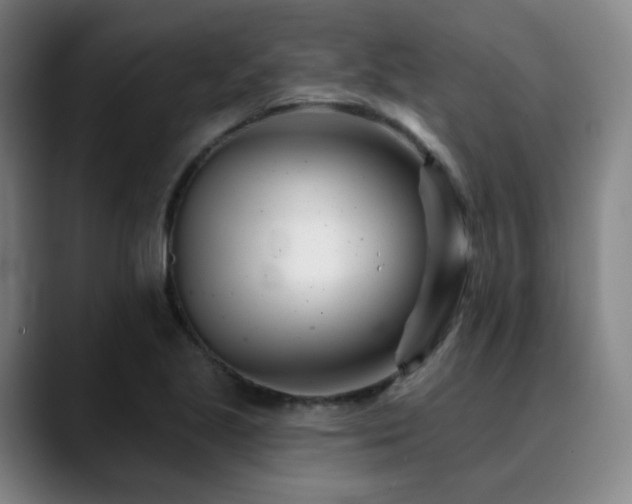 X0000090481221200707131310