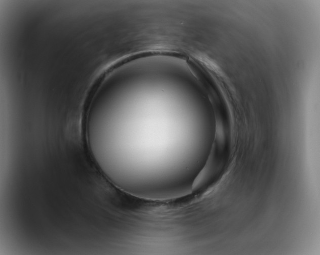X0000090481222200707131310