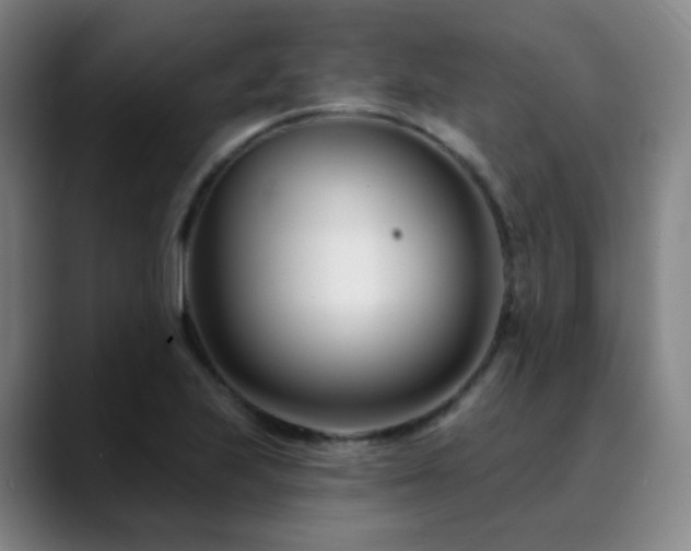 X0000090481223200707131310