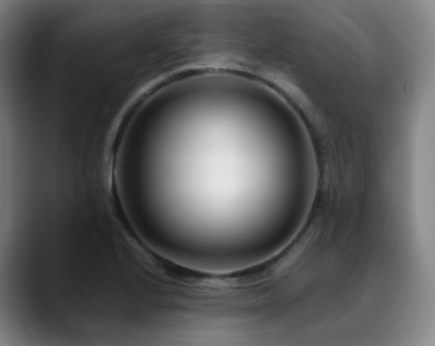 X0000090481224200707131310