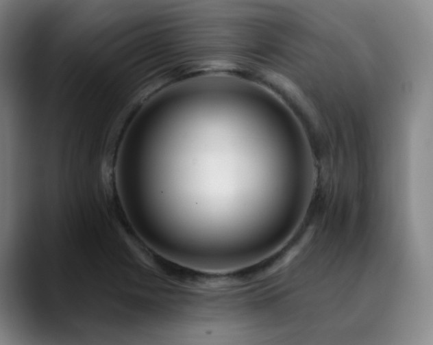 X0000090481225200707131310