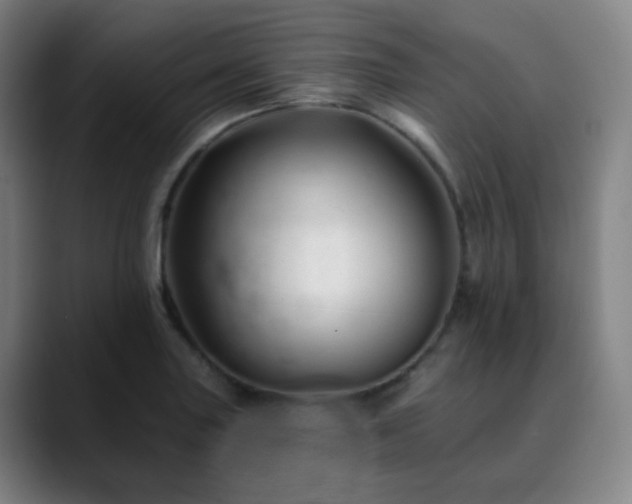 X0000090481227200707131310