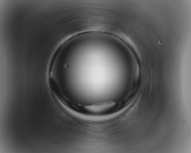 X0000090481230200707131310