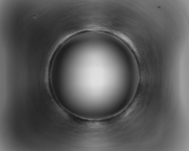 X0000090481231200707131310