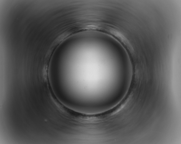 X0000090481233200707131310