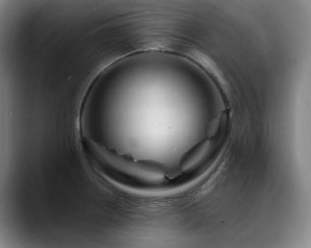 X0000090481234200707131310