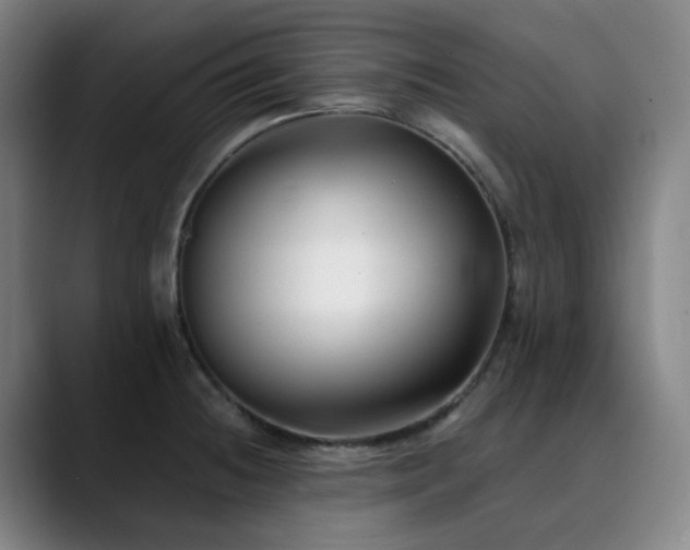 X0000090481236200707131310