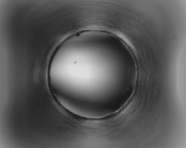 X0000090481237200707131310