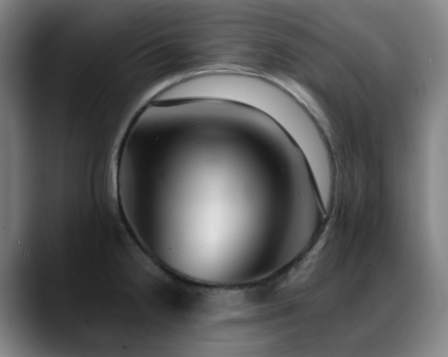X0000090481238200707131310