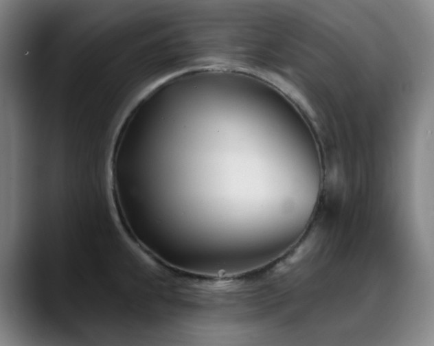 X0000090481239200707131310