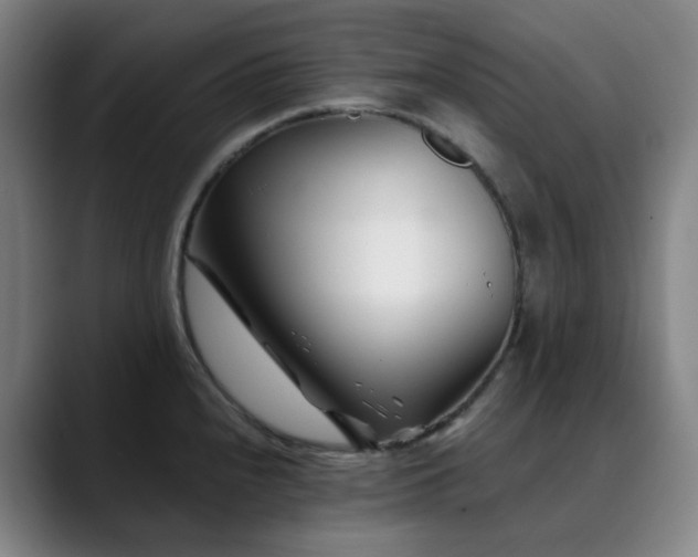 X0000090481240200707131310