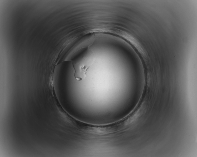 X0000090481241200707131310